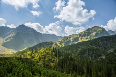 Güzel yaz manzara dağlarda. Doğal sahne Dağları Milli Parkı'nda. Tatra Dağları Slovakya, Europe.