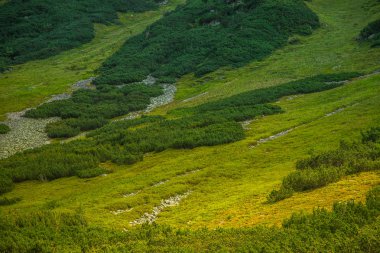 Güzel yaz manzara dağlarda. Doğal sahne Dağları Milli Parkı'nda. Tatra Dağları Slovakya, Europe.
