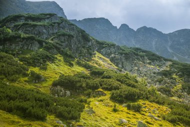 Güzel yaz manzara dağlarda. Doğal sahne Dağları Milli Parkı'nda. Tatra Dağları Slovakya, Europe.