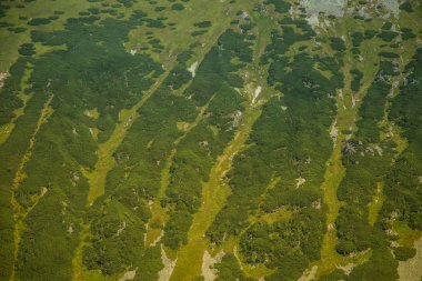Güzel yaz manzara dağlarda. Doğal sahne Dağları Milli Parkı'nda. Tatra Dağları Slovakya, Europe.