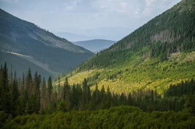 Güzel yaz manzara dağlarda. Doğal sahne Dağları Milli Parkı'nda. Tatra Dağları Slovakya, Europe.