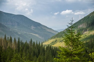 Güzel yaz manzara dağlarda. Doğal sahne Dağları Milli Parkı'nda. Tatra Dağları Slovakya, Europe.