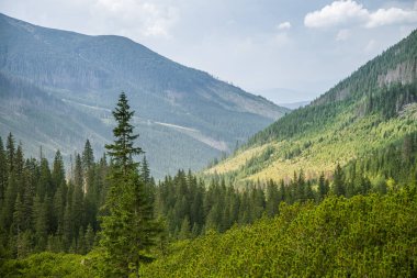 Güzel yaz manzara dağlarda. Doğal sahne Dağları Milli Parkı'nda. Tatra Dağları Slovakya, Europe.