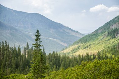 Güzel yaz manzara dağlarda. Doğal sahne Dağları Milli Parkı'nda. Tatra Dağları Slovakya, Europe.