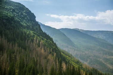 Güzel yaz manzara dağlarda. Doğal sahne Dağları Milli Parkı'nda. Tatra Dağları Slovakya, Europe.