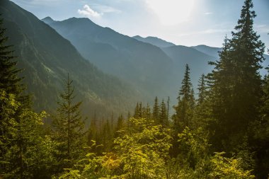 Güzel yaz manzara dağlarda. Doğal sahne Dağları Milli Parkı'nda. Tatra Dağları Slovakya, Europe.