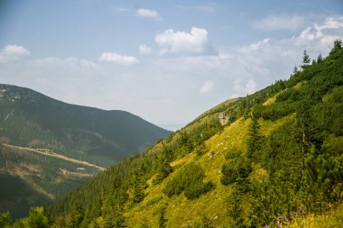 Güzel yaz manzara dağlarda. Doğal sahne Dağları Milli Parkı'nda. Tatra Dağları Slovakya, Europe.