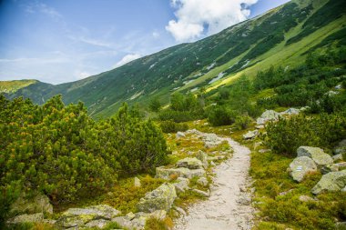 Güzel hiking trail dağlarda. Tatry, Slovakya dağ manzarası. Yürüyüş yolu sahne.