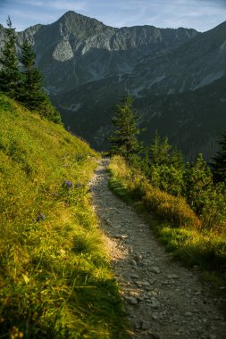 Güzel hiking trail dağlarda. Tatry, Slovakya dağ manzarası. Yürüyüş yolu sahne.