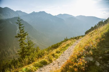 Güzel hiking trail dağlarda. Tatry, Slovakya dağ manzarası. Yürüyüş yolu sahne.