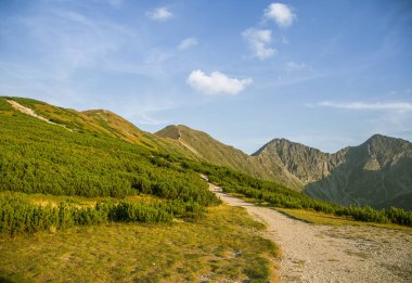 Güzel hiking trail dağlarda. Tatry, Slovakya dağ manzarası. Yürüyüş yolu sahne.