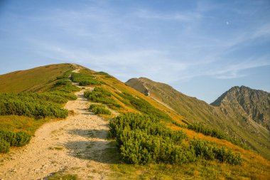 Güzel hiking trail dağlarda. Tatry, Slovakya dağ manzarası. Yürüyüş yolu sahne.