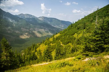 Güzel hiking trail dağlarda. Tatry, Slovakya dağ manzarası. Yürüyüş yolu sahne.