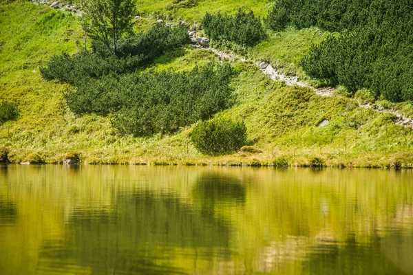 Güzel Temiz Bir Sakin Güneşli Gün Dağ Vadisinde Gölde Yaz — Stok fotoğraf