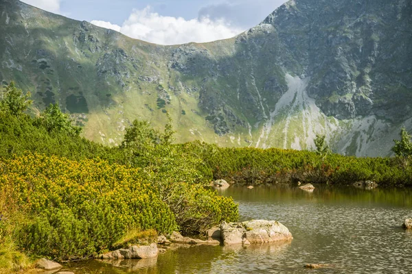 Piękne Czyste Jeziora Dolinie Górskiej Spokojny Słoneczny Dzień Krajobraz Górski — Zdjęcie stockowe