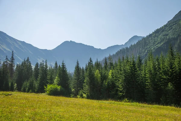 Güzel yaz manzara dağlarda. Doğal sahne Dağları Milli Parkı'nda. Tatra Dağları Slovakya, Europe.