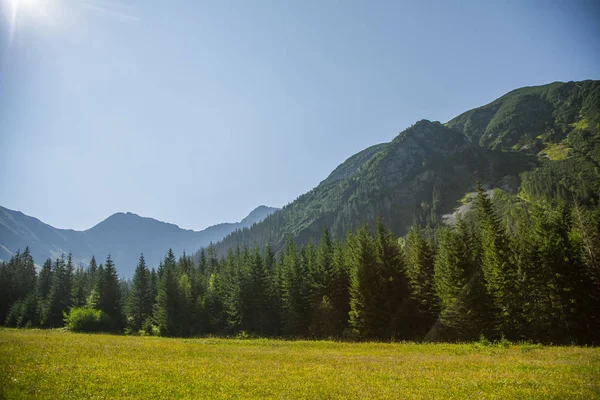 Güzel yaz manzara dağlarda. Doğal sahne Dağları Milli Parkı'nda. Tatra Dağları Slovakya, Europe.