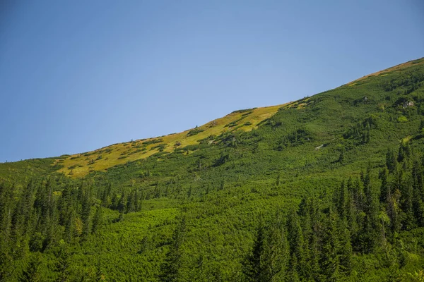 Krajobraz Piękne Lato Górach Naturalnej Scenerii Góry Park Narodowy Tatry — Zdjęcie stockowe