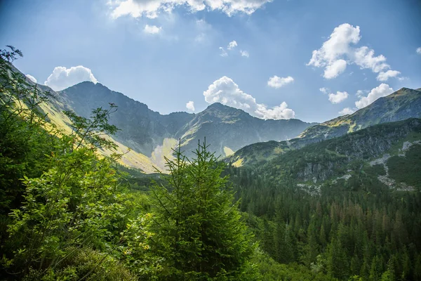 山上美丽的夏日风景 自然风景在山 国家公园 Tatra 山脉在斯洛伐克 — 图库照片