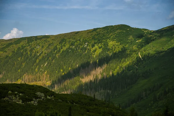 Beautiful Summer Landscape Mountains Natural Scenery Mountains National Park Tatra — Stock Photo, Image