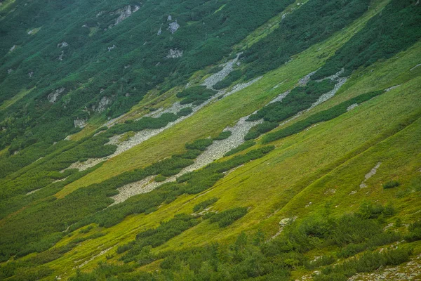 山の中の美しい夏の風景 国立公園の山々 の自然の風景 ヨーロッパ スロバキアのタトラ山脈 — ストック写真