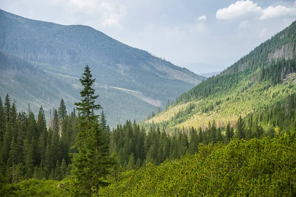 Beautiful Summer Landscape Mountains Natural Scenery Mountains National Park Tatra — Stock Photo, Image