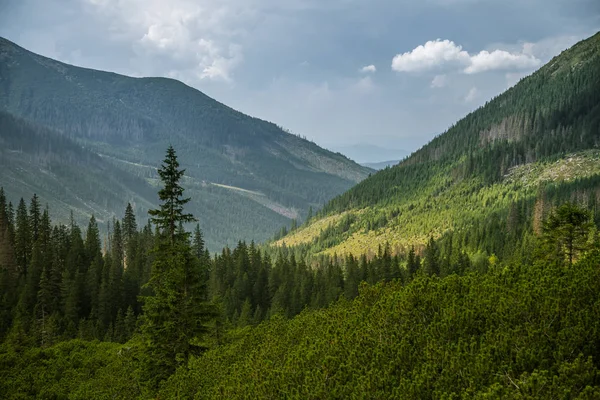 Beautiful Summer Landscape Mountains Natural Scenery Mountains National Park Tatra — Stock Photo, Image