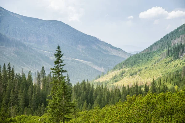 Güzel yaz manzara dağlarda. Doğal sahne Dağları Milli Parkı'nda. Tatra Dağları Slovakya, Europe.