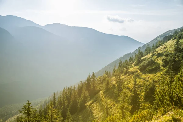 Güzel yaz manzara dağlarda. Doğal sahne Dağları Milli Parkı'nda. Tatra Dağları Slovakya, Europe.