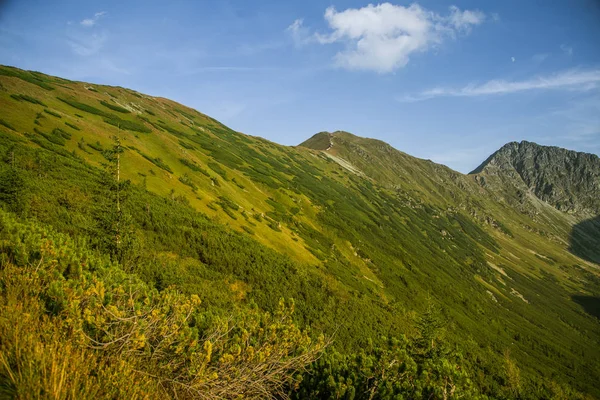 Vacker Sommarlandskap Bergen Natur Bergen Nationalpark Tatrabergen Slovakien Europa — Stockfoto