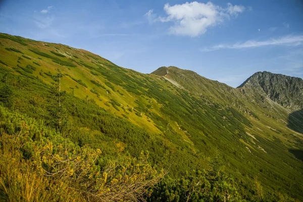 Eine Schöne Sommerlandschaft Den Bergen Naturlandschaft Den Bergen Nationalpark Tatra — Stockfoto