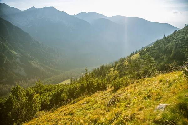 Güzel yaz manzara dağlarda. Doğal sahne Dağları Milli Parkı'nda. Tatra Dağları Slovakya, Europe.