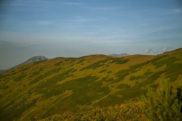 Eine Schöne Sommerlandschaft Den Bergen Naturlandschaft Den Bergen Nationalpark Tatra — Stockfoto