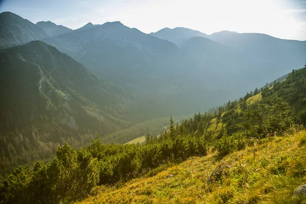 Güzel yaz manzara dağlarda. Doğal sahne Dağları Milli Parkı'nda. Tatra Dağları Slovakya, Europe.