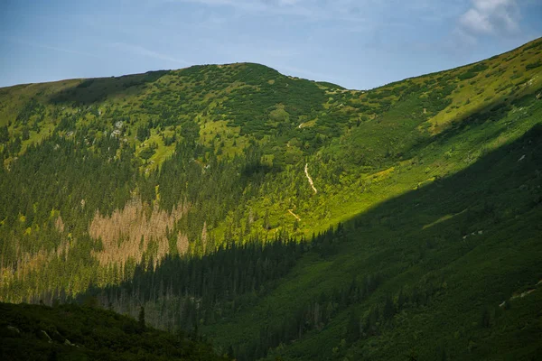 Beau Sentier Randonnée Dans Les Montagnes Paysage Montagneux Tatry Slovaquie — Photo