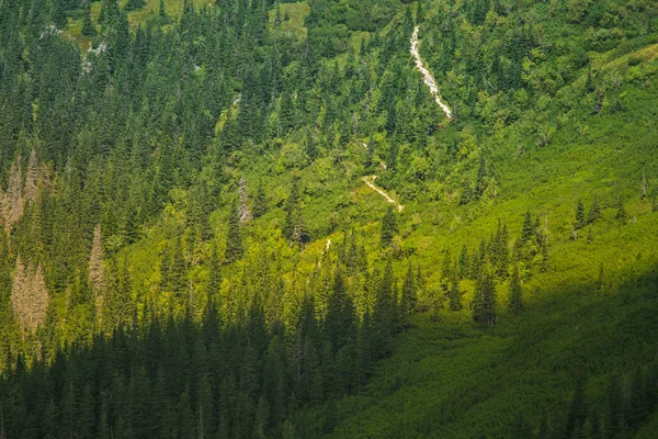 Beau Sentier Randonnée Dans Les Montagnes Paysage Montagneux Tatry Slovaquie — Photo