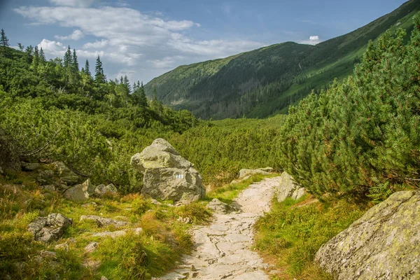 Beautiful Hiking Trail Mountains Mountain Landscape Tatry Slovakia Walking Path — Stock Photo, Image