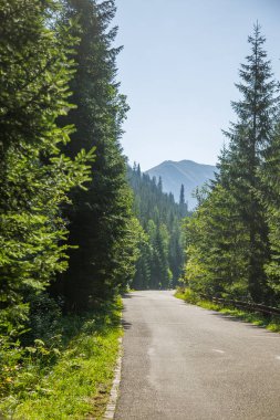 Geniş Asfaltlı yol ormanın içinden dağlara lider. Doğal dağ manzarası, yaz manzara. Tatra Dağları Slovakya, Europe.