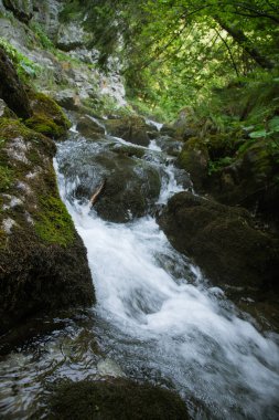 Düşük Tatra bölgede dağ Vadisi üzerinden akan küçük bir mountainriver. Dağ dere boyunca yürüyüş iz. Tatra Dağları Slovakya, Europe.