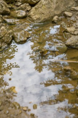 Düşük Tatra bölgede dağ Vadisi üzerinden akan küçük bir mountainriver. Dağ dere boyunca yürüyüş iz. Tatra Dağları Slovakya, Europe.