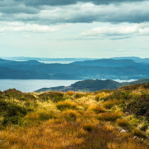 Egy Szép Őszi Táj Folgefonna Nemzeti Park Hegyei Fjord Távolban — Stock Fotó