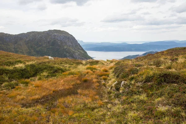 Egy Szép Őszi Táj Folgefonna Nemzeti Park Hegyei Fjord Távolban — Stock Fotó