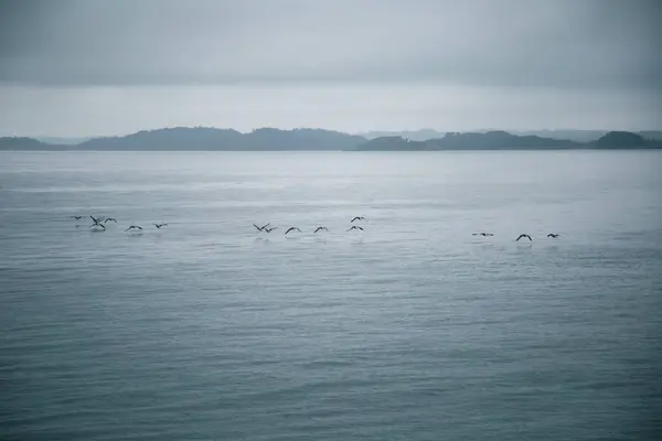 Paisaje Dramático Nublado Costa Del Fiordo Durante Viaje Ferry Noruega — Foto de Stock