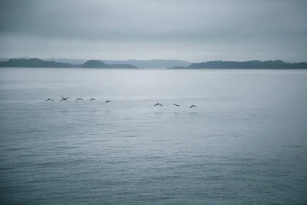 Dramatyczne Pochmurny Krajobraz Coeast Fjord Podczas Prom Jeździć Norwegii Pobliżu — Zdjęcie stockowe