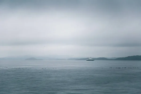 Paisaje Dramático Nublado Costa Del Fiordo Durante Viaje Ferry Noruega — Foto de Stock