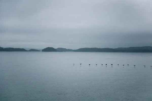 Paisaje Dramático Nublado Costa Del Fiordo Durante Viaje Ferry Noruega — Foto de Stock