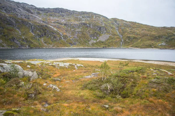 Bir Dağ Gölü Folgefonna Milli Parkı Nda Norveç Güzel Bir — Stok fotoğraf