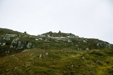 Rüzgarlı, yağmurlu havalarda uzun bir yürüyüş sırasında güzel sonbahar manzara Folgefonna Milli Parkı'nda Norveç'te. Dağlar İskandinavya. Sonbahar sahne içinde ekilmemiş boş arazi.