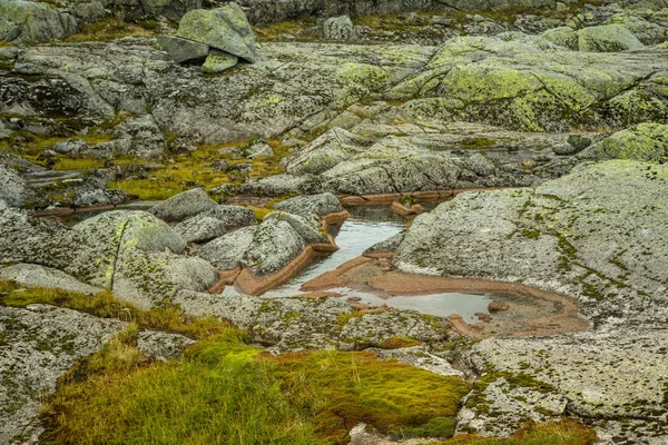 Hermoso Paisaje Otoñal Parque Nacional Folgefonna Noruega Durante Una Caminata — Foto de Stock