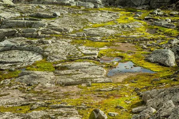 Een Prachtige Herfst Landschap Folgefonna Nationaalpark Noorwegen Tijdens Een Wandeling — Stockfoto